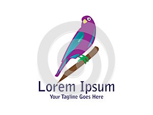 Abstract And Unique bird vector design template. An exotic bird on white backgroundÂ 